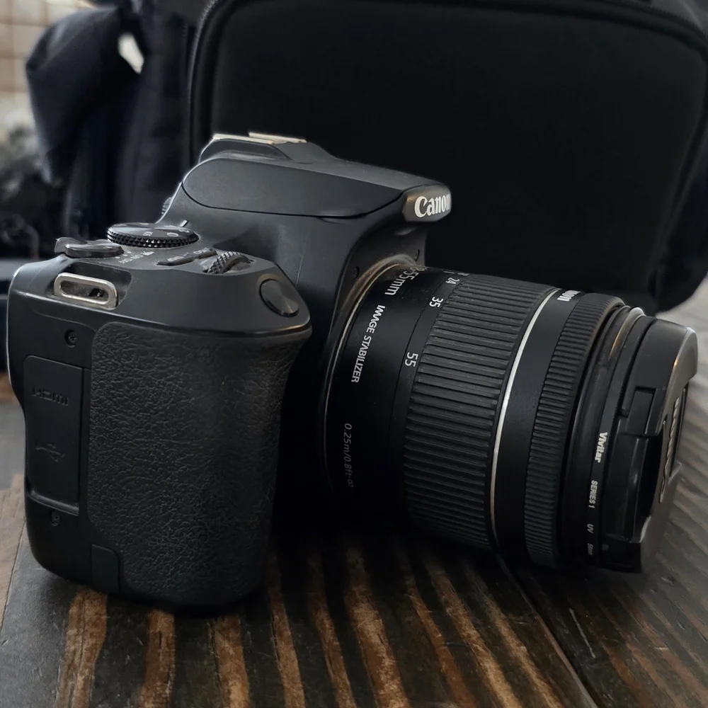 Canon EOS Rebel SL3 DSLR Camera - Black